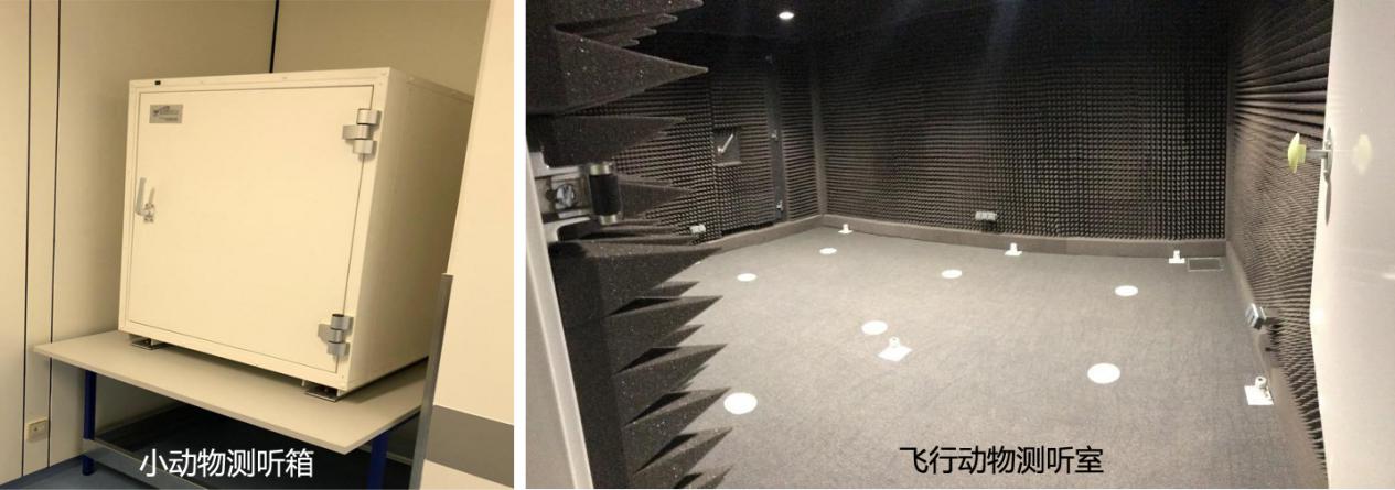 1616060284547278.jpg 1.jpg