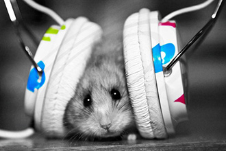 1638950726458599.jpg 2021102710395615.jpg